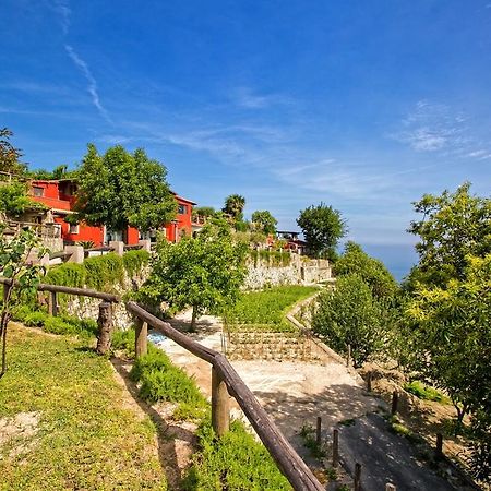 Agriturismo Pera Di Basso Ischia Eksteriør bilde