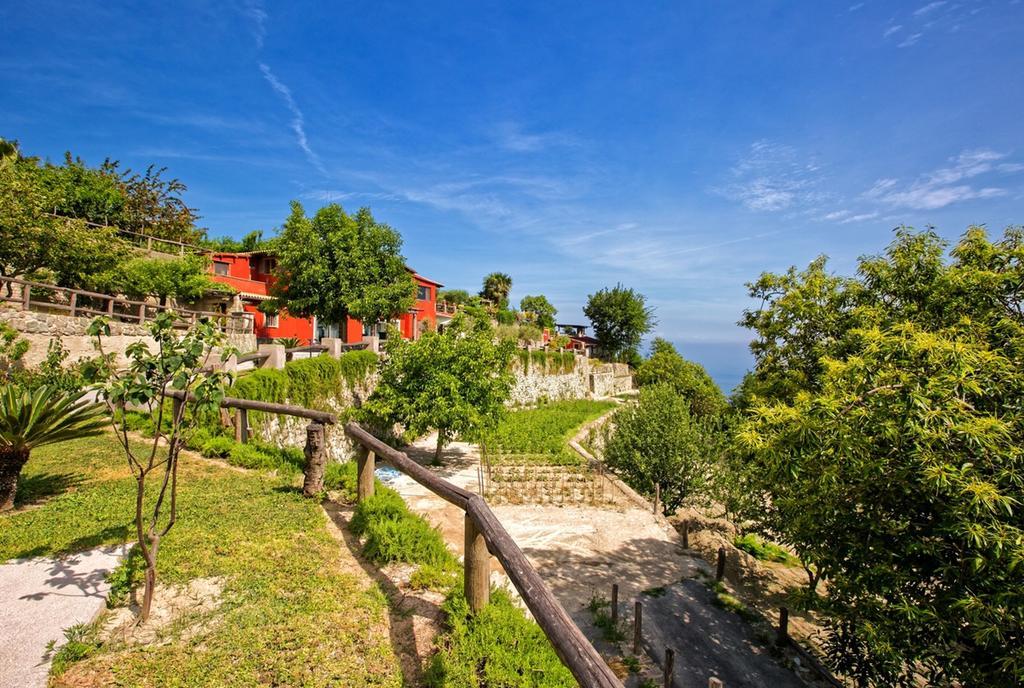 Agriturismo Pera Di Basso Ischia Eksteriør bilde