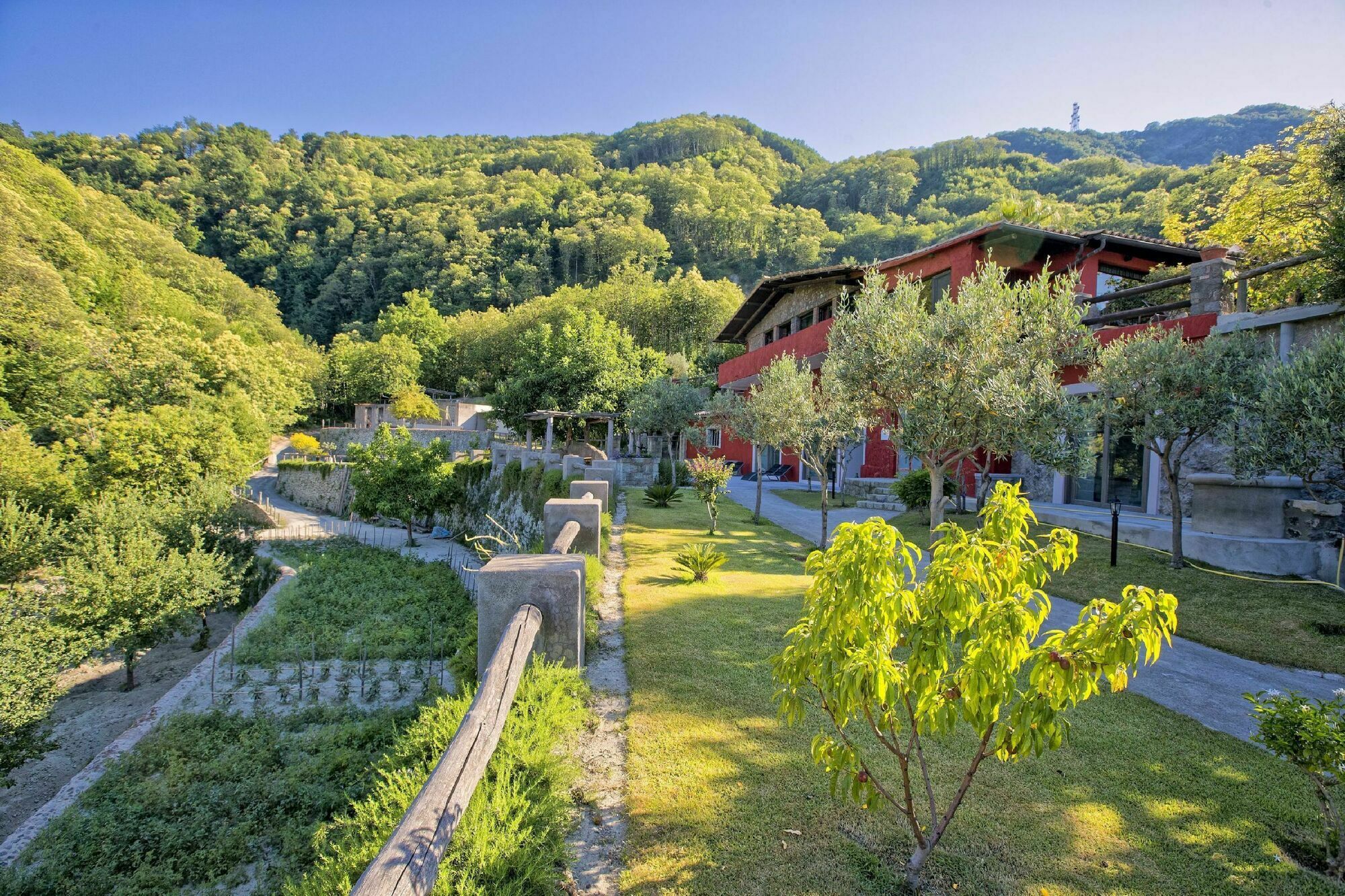 Agriturismo Pera Di Basso Ischia Eksteriør bilde